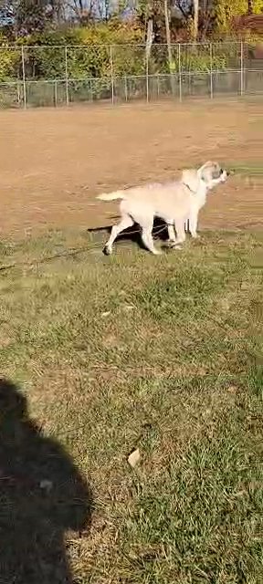 1male left
