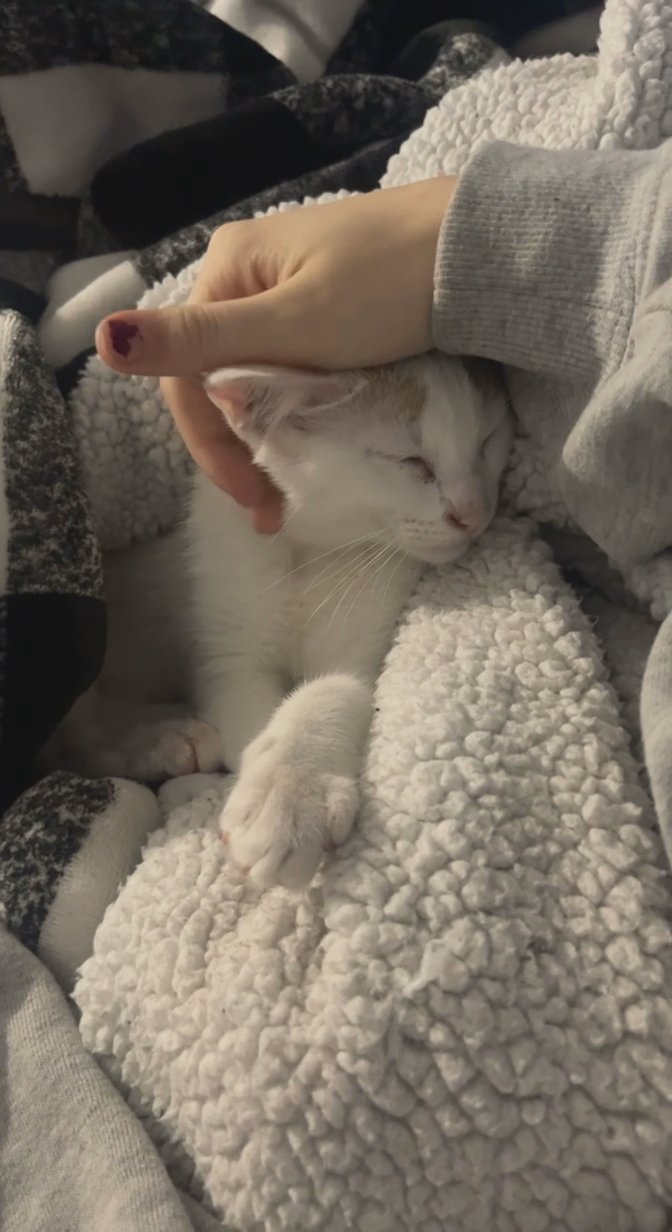 My name is jade, I am very cuddly and loving