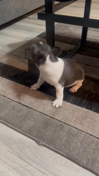 This Beauty Needs A Family