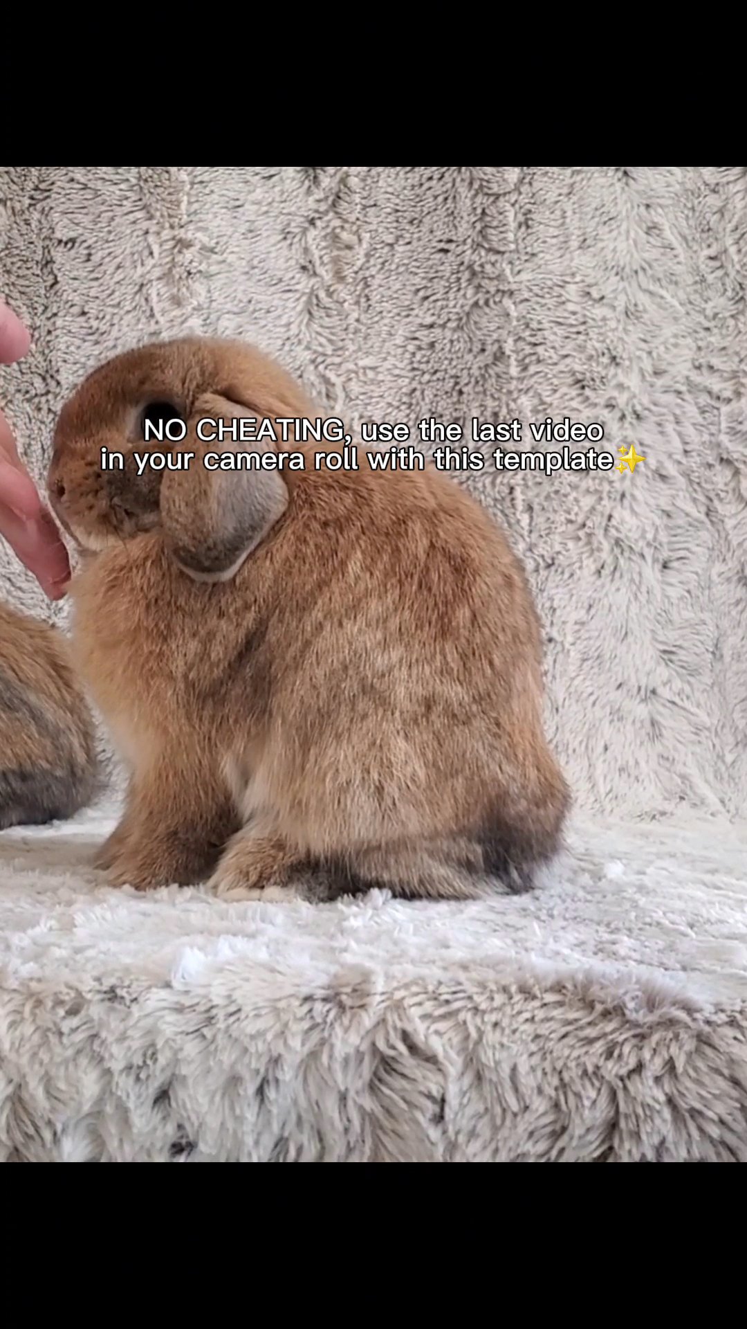 Smallest Lop
