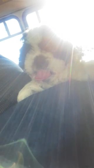 Oscar