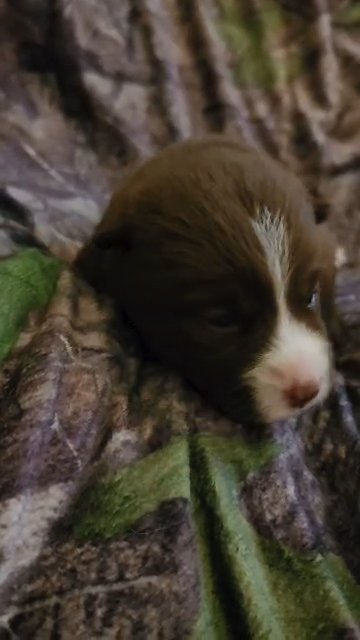 Galaxy is 2 weeks old today!