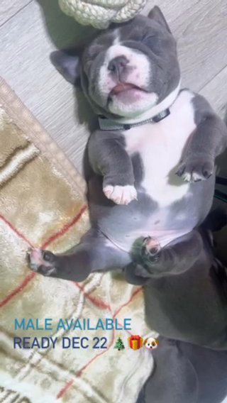 He Adorable