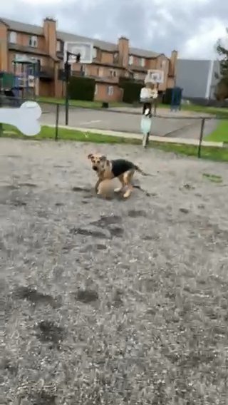 He Cant Stop Playing TAG in Vancouver, Washington