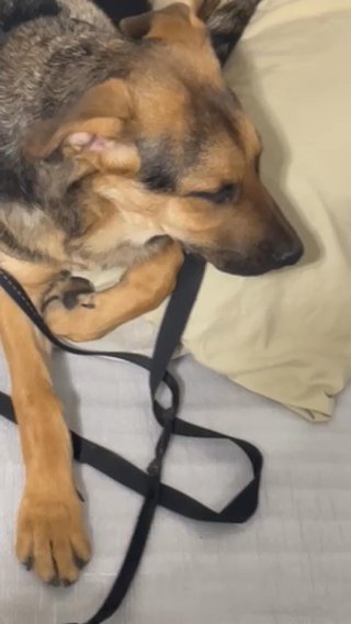 When Bedtime Isn’t On The Schedule For Him in Vancouver, Washington