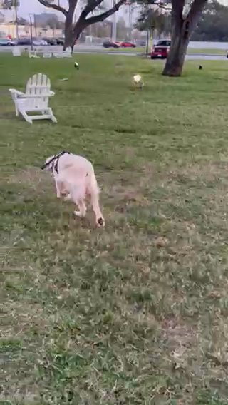Shia Enjoying Her Time In The Park in Houston, Texas