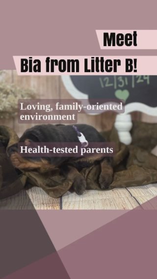 Bia in Waverly, Iowa