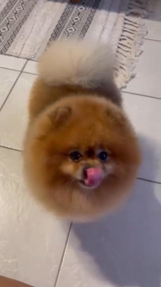 My Bady in Miami, Florida