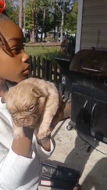 Full fluff in Jacksonville, Florida