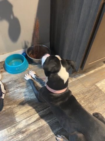 We Found Her in Huron, Michigan