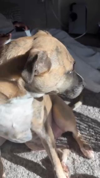Finley in Atlanta, Georgia