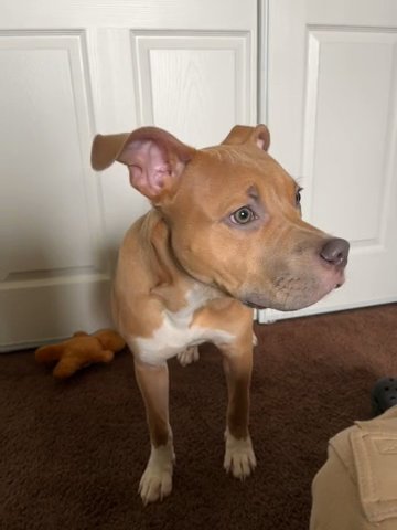 Mikey in Fresno, California