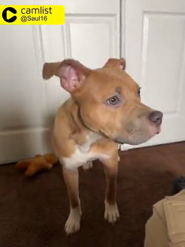 Mikey in Fresno, California