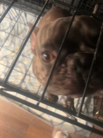 Two Females Left in Cleveland, Ohio