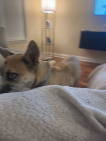 Kyra in Oceanside, California