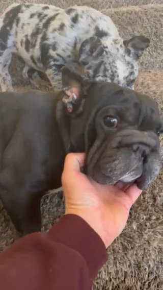 Big Rope
